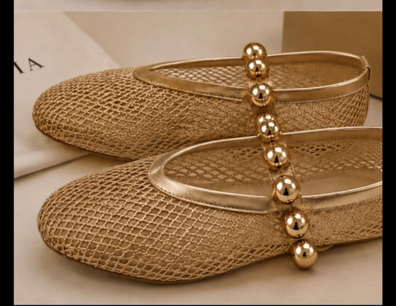 Netted Ballerina Shoe
